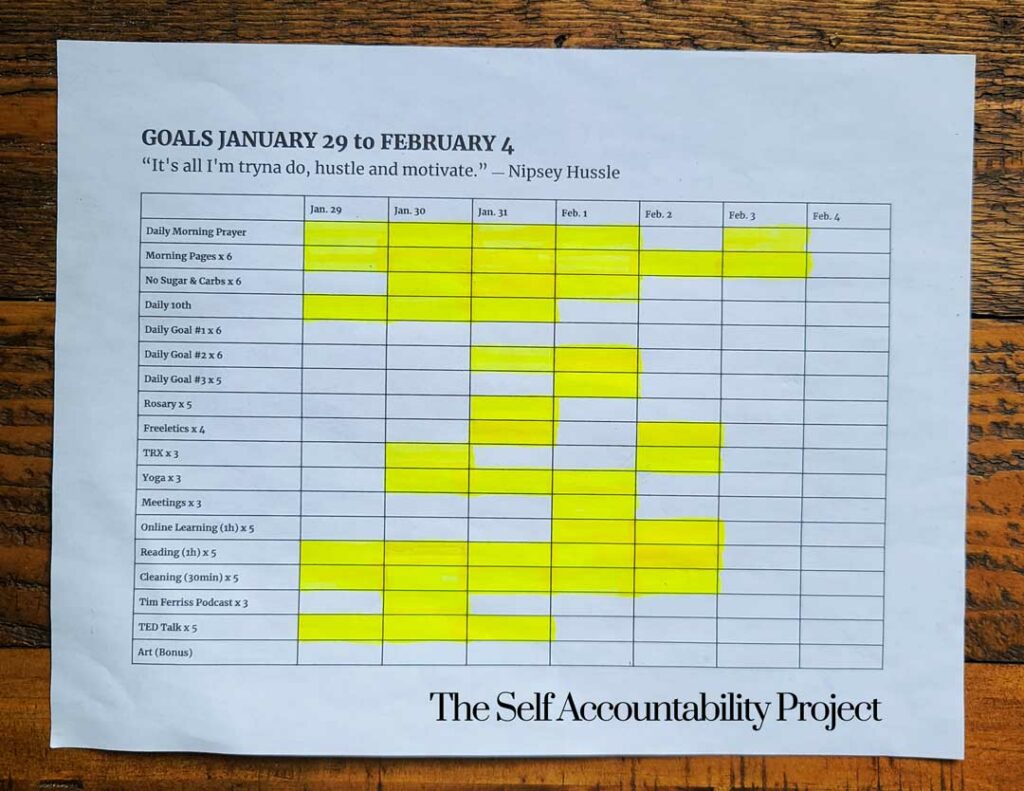 The Self Accountability Project Productivity Planner and Goal Tracker